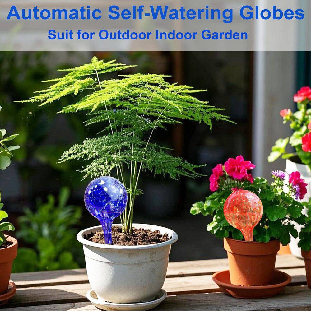 6-Piece Self Watering Globes, Automatic Glass Plant Watering Bulbs for for Daily Plant Care, Small