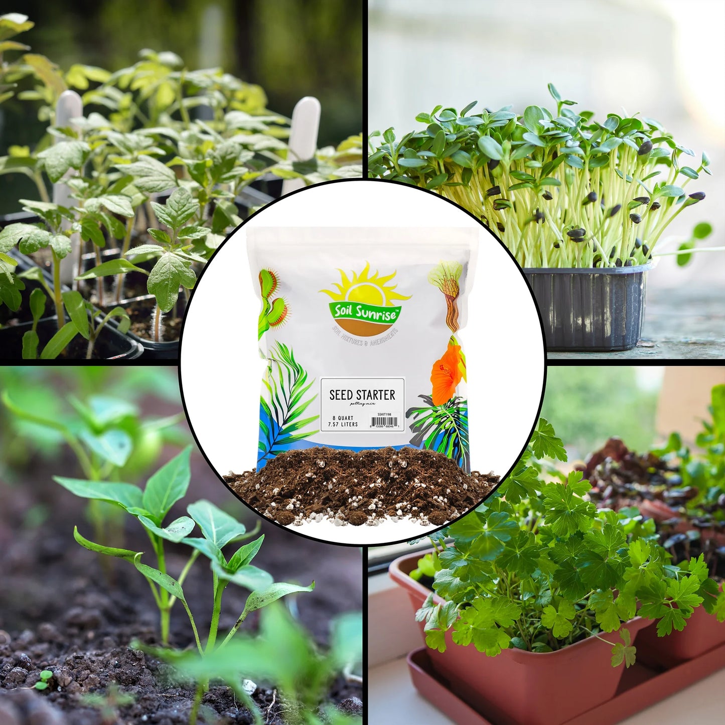 All Natural Seed Starting Mix (8 Quarts), Expert Grade Seed Starter Potting Mix, Start Herbs, Vegetables, and Other Grass