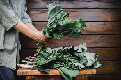 Georgia Southern Collard Heirloom Non GMO Seeds