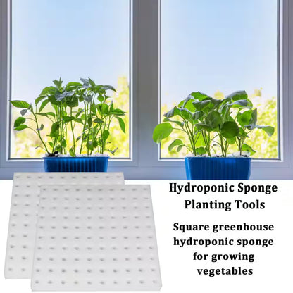 200-Piece Hydroponic Sponges Soilless Cultivation Sponge for Greenhouse, Indoor/Outdoor Planting with Net Cup Pots