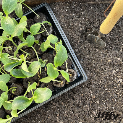 72 Cell Greenhouse Seed Starter Kit with 36Mm Peat Pellets