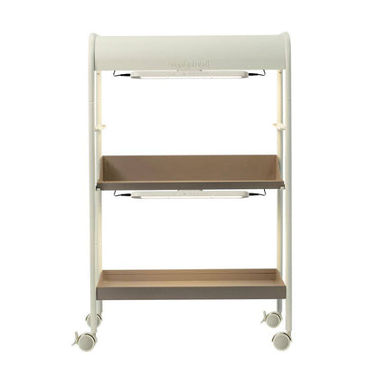 2 Tier Grow Light Garden, Plant Stand with Plant Shelf Rack with Wheels for Seed Starting, Indoor Plants Display
