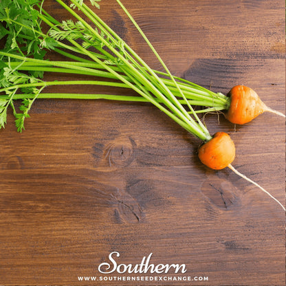 Parisian Carrot – 250 Seeds