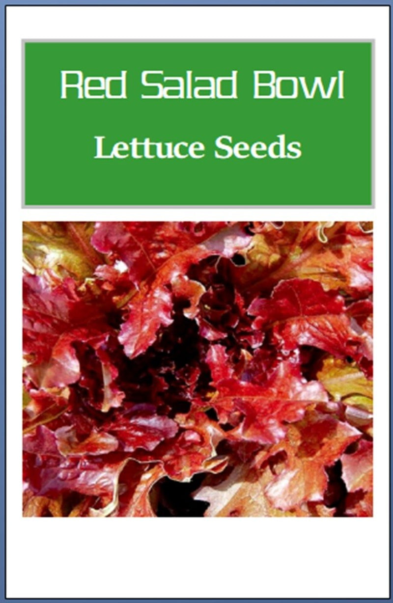 Red Salad Bowl Lettuce Seeds | Heirloom Lettuce Seeds | NON-GMO Garden Seeds