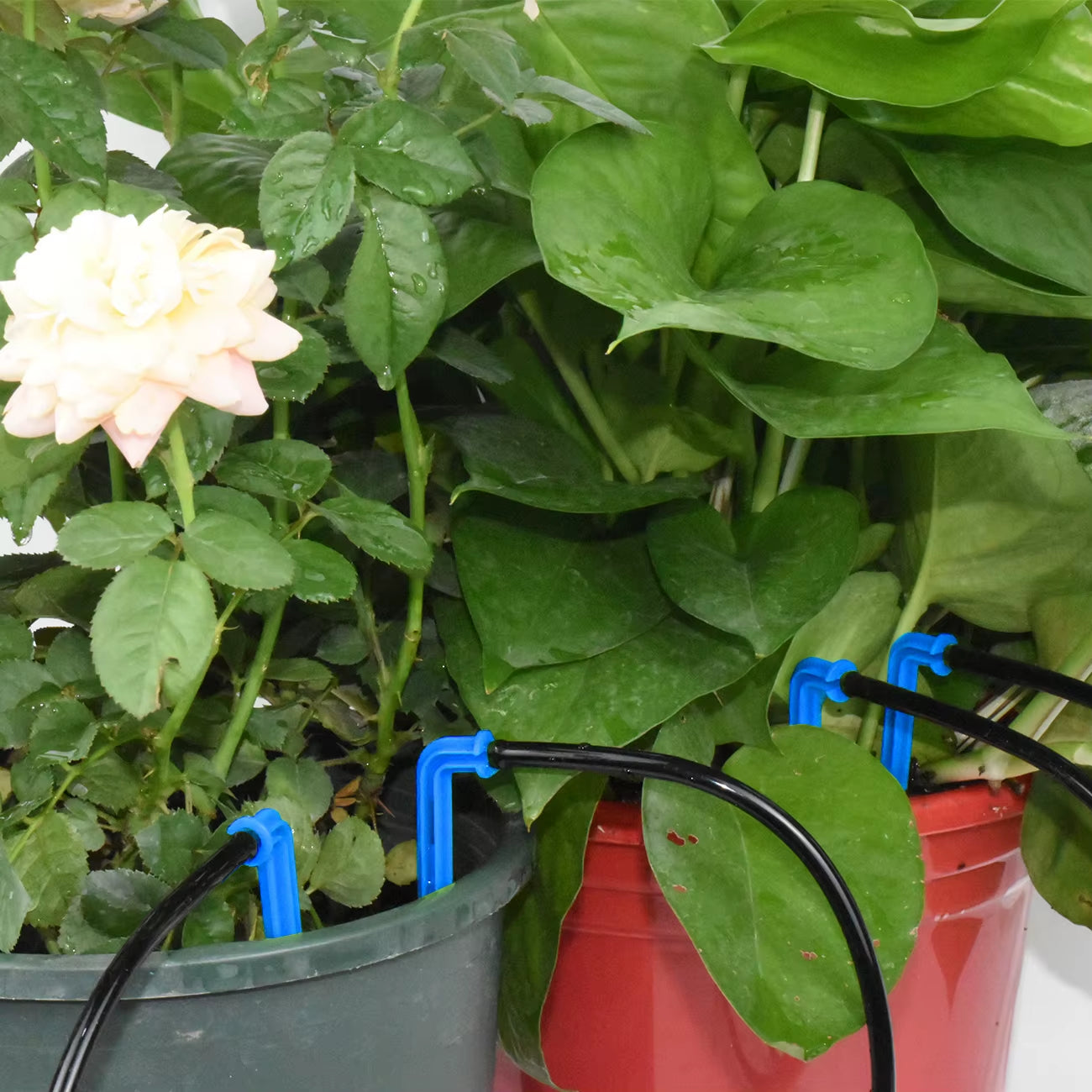 Greenhouse Drip Irrigation 4-Way 3/5Mm 2-Way Drip Arrow Transmitter Garden Automatic Watering System Potted Plant 10/20Set