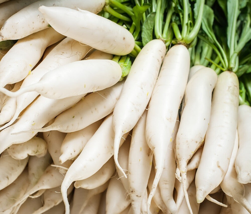 Radish Seeds - Fast Growing Heirloom Non GMO, Free Shipping, Daikon Japanese