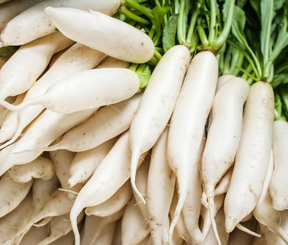 Radish Seeds - Fast Growing Heirloom Non GMO, Free Shipping, Daikon Japanese