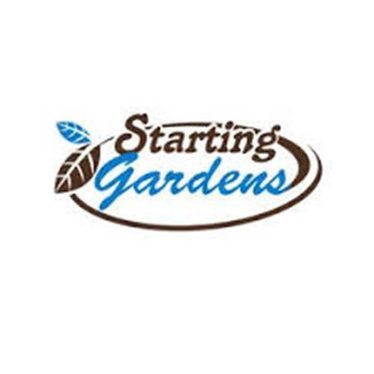 Cucumber Straight Eight, Heirloom, NON-GMO, 25 Cucumber Seeds, Straight 8 Seed