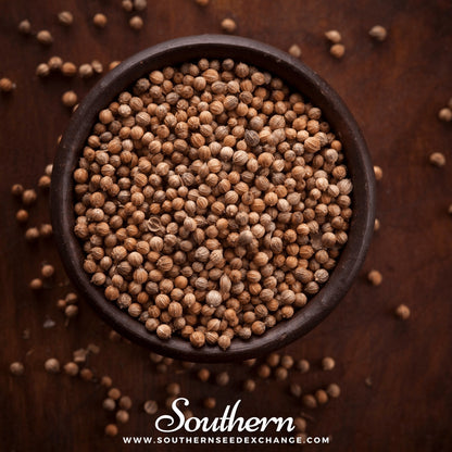 Santo Cilantro – 100 Seeds