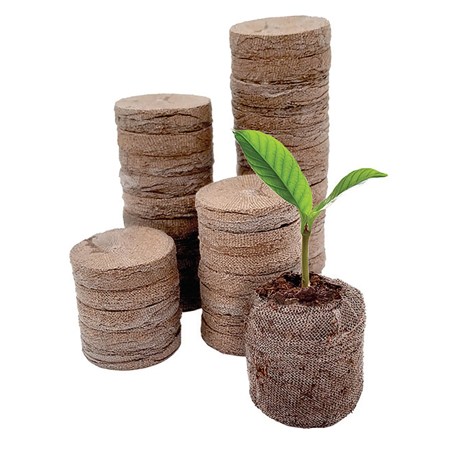 72 Cell Greenhouse Seed Starter Kit with 36Mm Peat Pellets