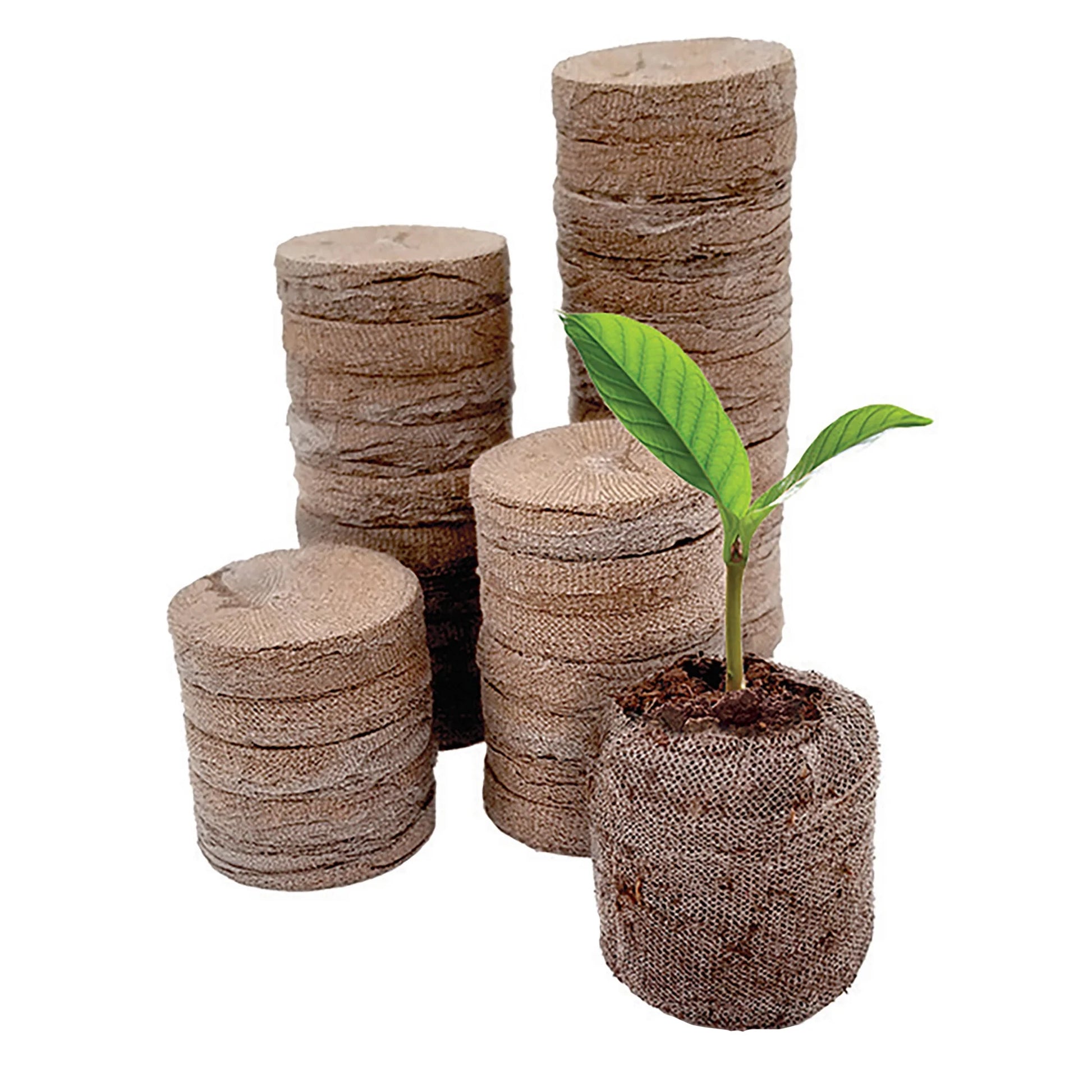 72 Cell Greenhouse Seed Starter Kit with 36Mm Peat Pellets