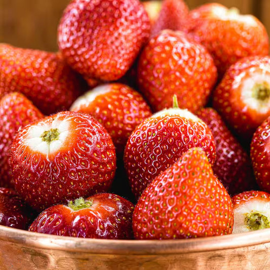 Dayneutral Strawberries Albion (Set of 20) Plant Roots