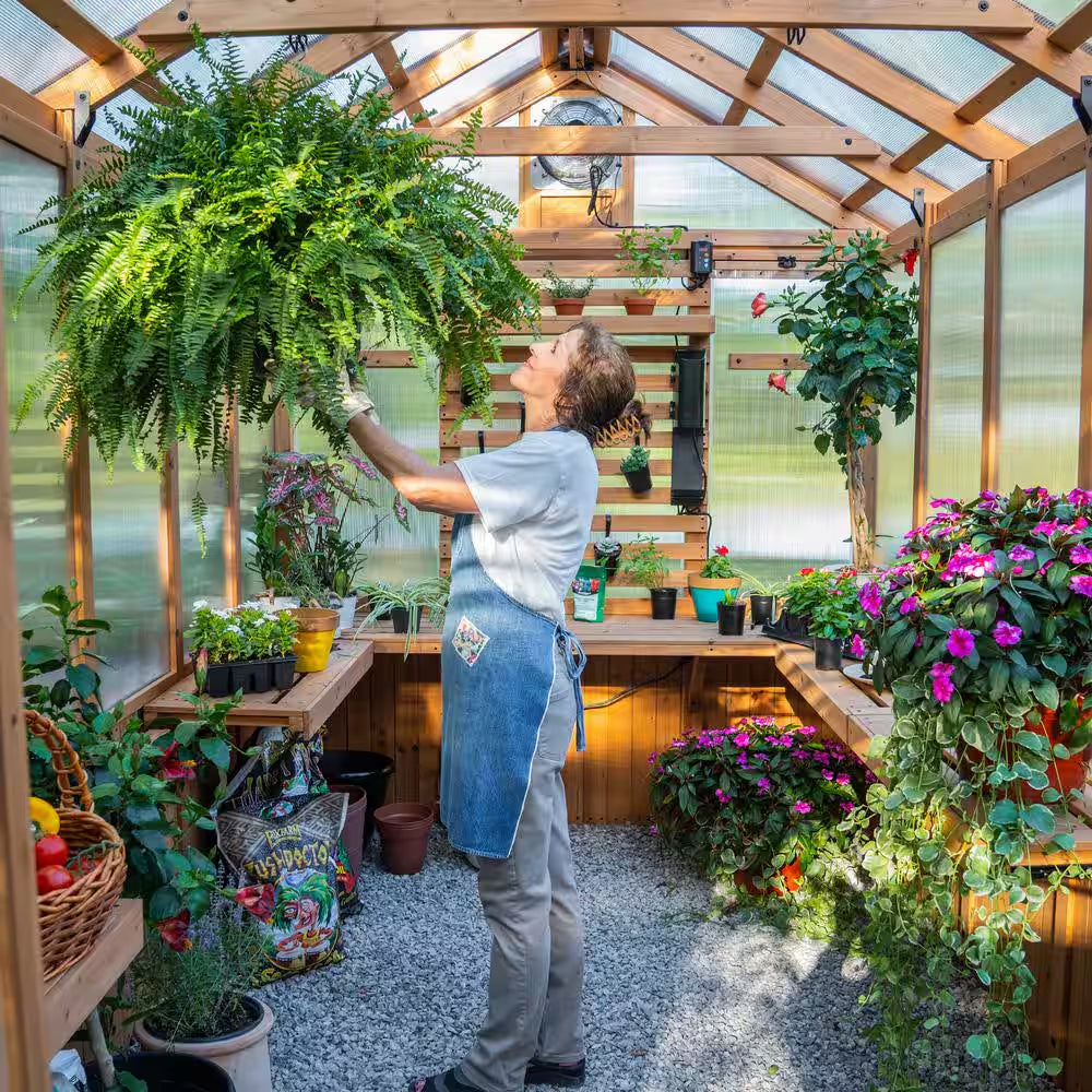 Bellerose 7.3 Ft. W X 14.75 Ft. L X 9.75 Ft. H All Cedar Greenhouse W/ Pergola and Temperature Activated Ventilation Fan