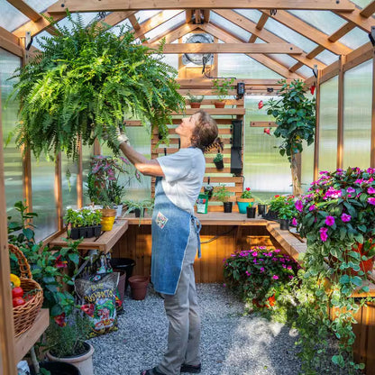 Bellerose 7.3 Ft. W X 14.75 Ft. L X 9.75 Ft. H All Cedar Greenhouse W/ Pergola and Temperature Activated Ventilation Fan