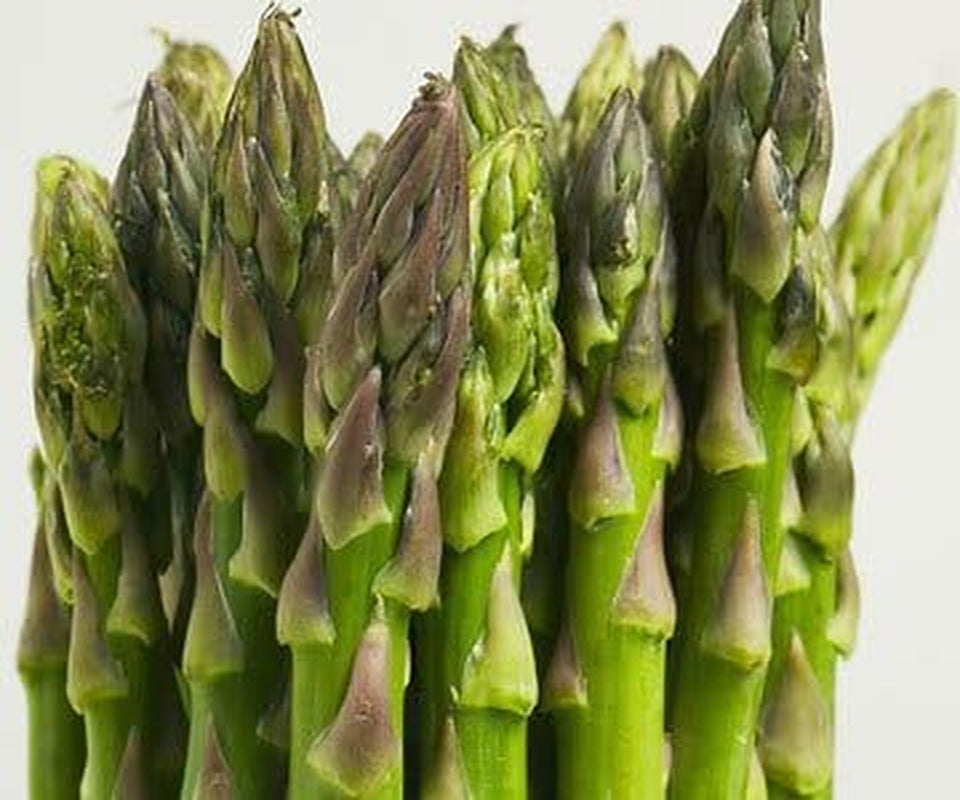 Asparagus Mary Washington Great Heirloom Vegetable by  50 Seeds