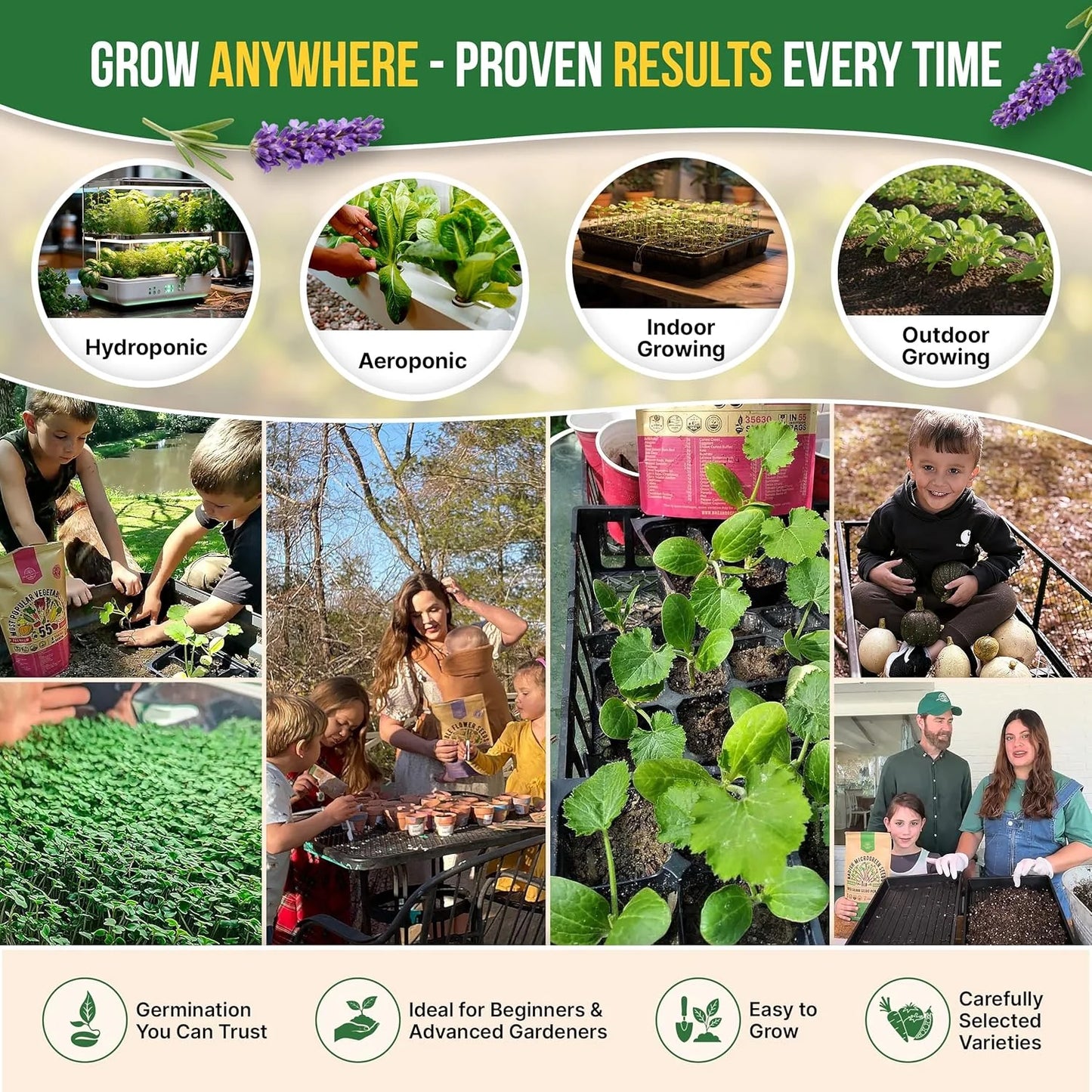 18 Culinary Herbs Seeds Variety Pack - 10,180+ Heirloom, Non-Gmo, Herbs Seeds
