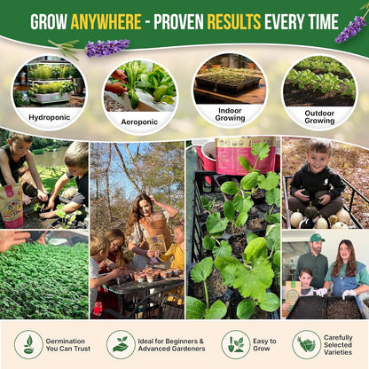 18 Culinary Herbs Seeds Variety Pack - 10,180+ Heirloom, Non-Gmo, Herbs Seeds