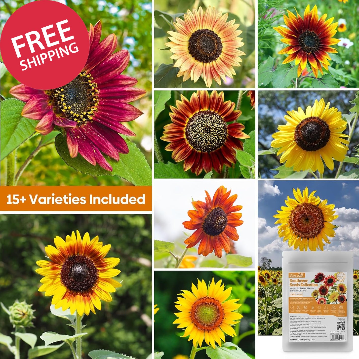 Sunflower Seeds for Planting, 15+ Varieties, 1 Oz, 300+ Mixed Seeds to Plant Col