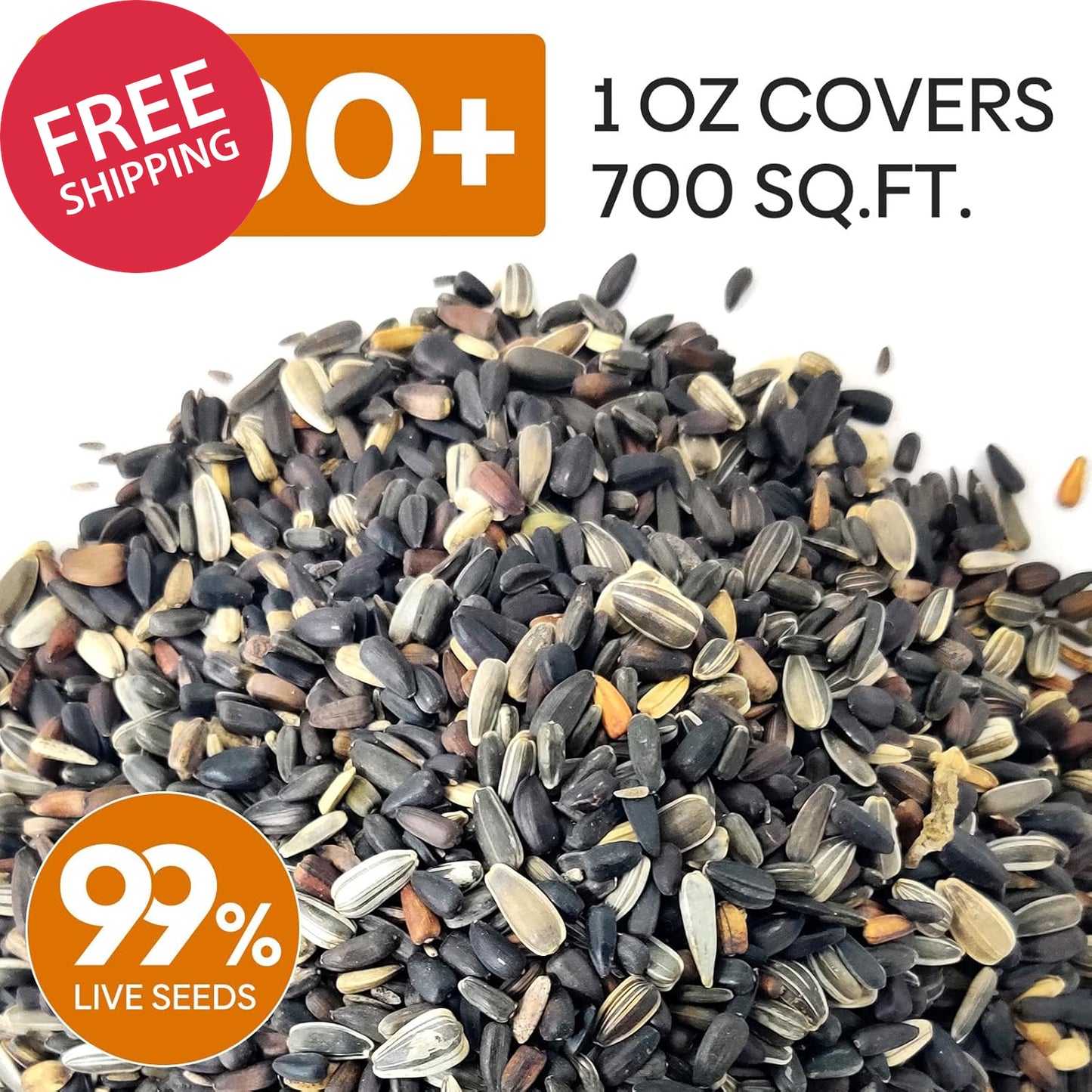 Sunflower Seeds for Planting, 15+ Varieties, 1 Oz, 300+ Mixed Seeds to Plant Col