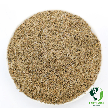 DandiLawn™ Dandelion Lawn Mix | Low-Growing, Pollinator-Friendly, No-Mow Lawn