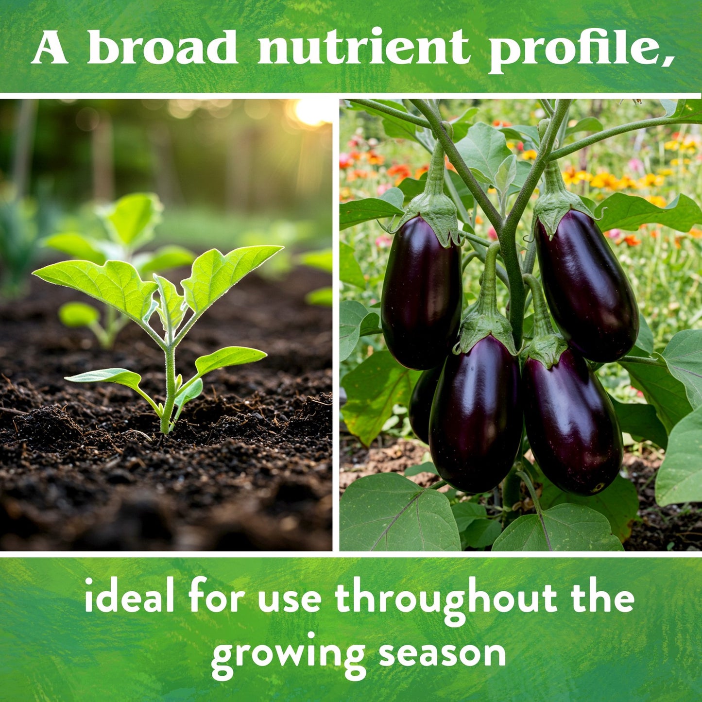 Down to Earth Vegetable Garden 4-4-4 All-Natural Fertilizer, 25 Lbs
