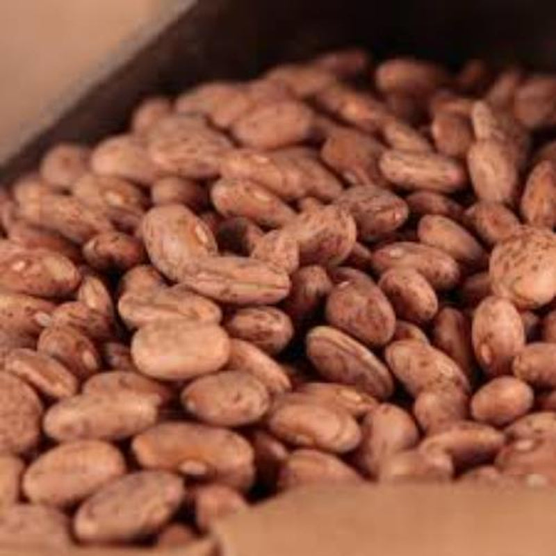 Pinto Bean Seed, 1/2 Pound, Heirloom, Non GMO, Packed in Resealable Foil Pack