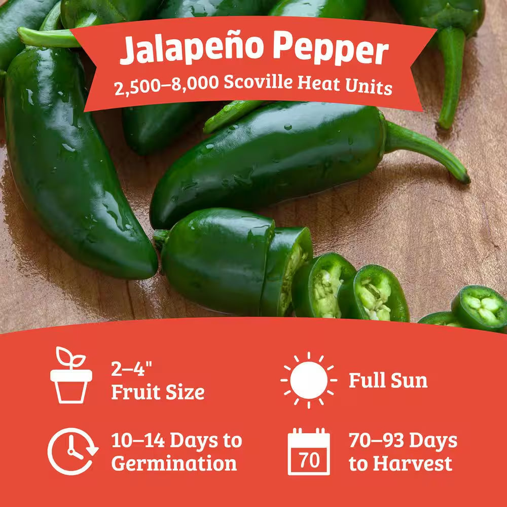 Organic Jalapeno Pepper Seed (1-Pack)