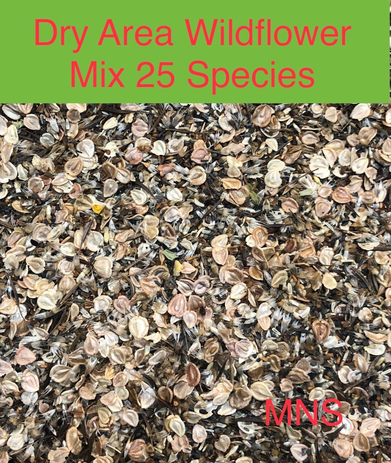 Wildflower Mix DROUGHT RESISTANT Dry Soil Garden Pollinator Flowers 1000+ Seeds!