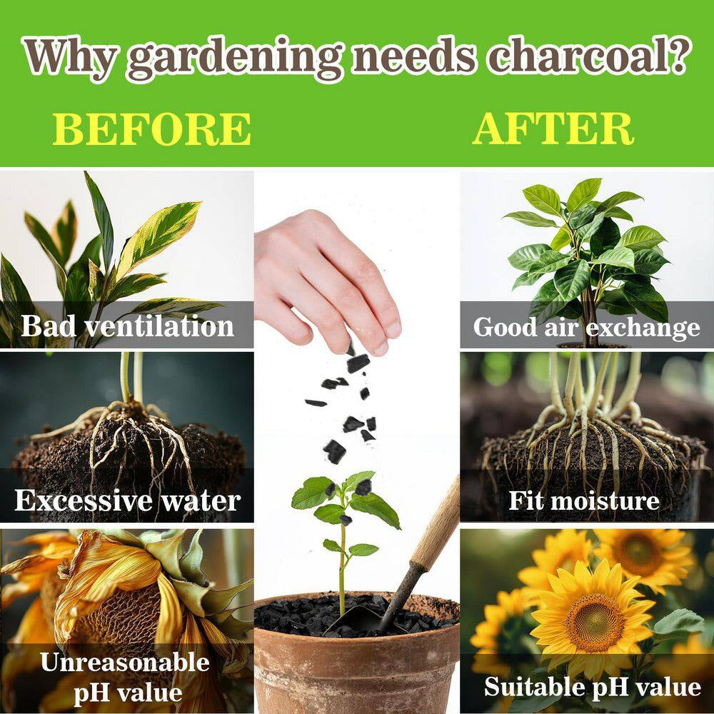 1 Qt. Natural Organic Charcoal Soil Amendments for Potting Soil Indoor Plants, Succulents and Terrarium Use (1-Pack)