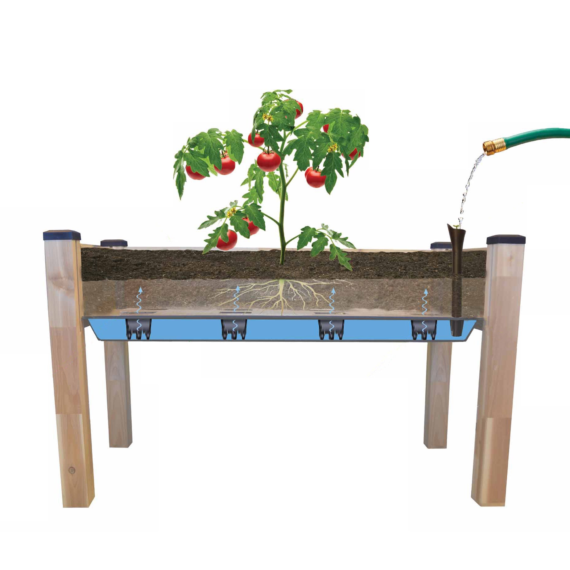 Cedarcraft Self-Watering Elevated Cedar Planter with Greenhouse and Bug Cover