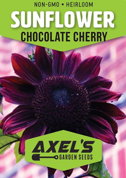 Purple Sunflower Seeds for Planting - Vibrant Heirloom Rare, Chocolate Cherry