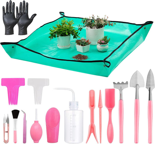 25Pcs Mini Garden Hand Transplanting Succulent Tools Set & mat