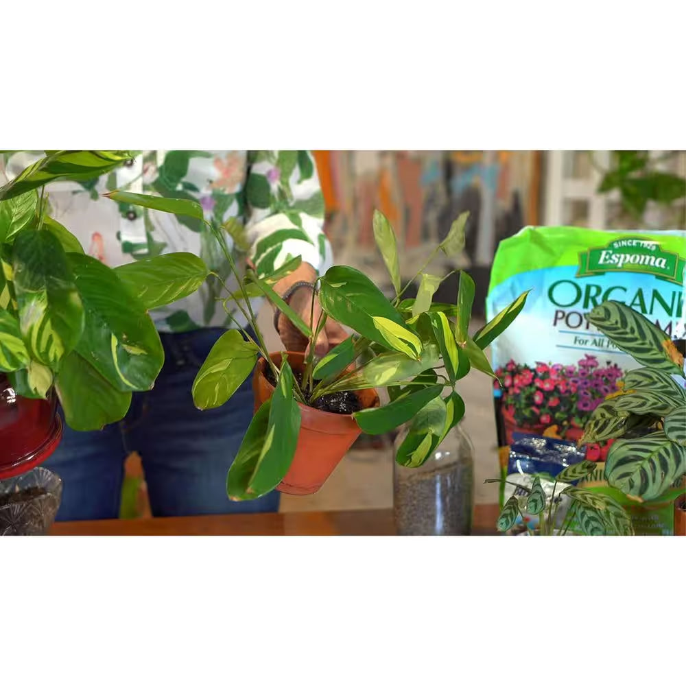 8 Qt. Organic All Purpose Potting Mix