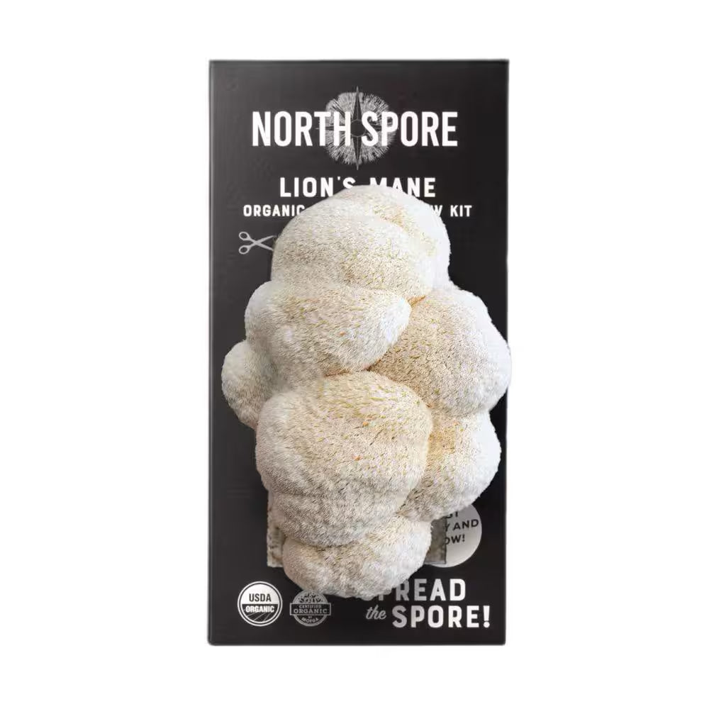 Organic Lion'S Mane Mushroom Spray and Grow