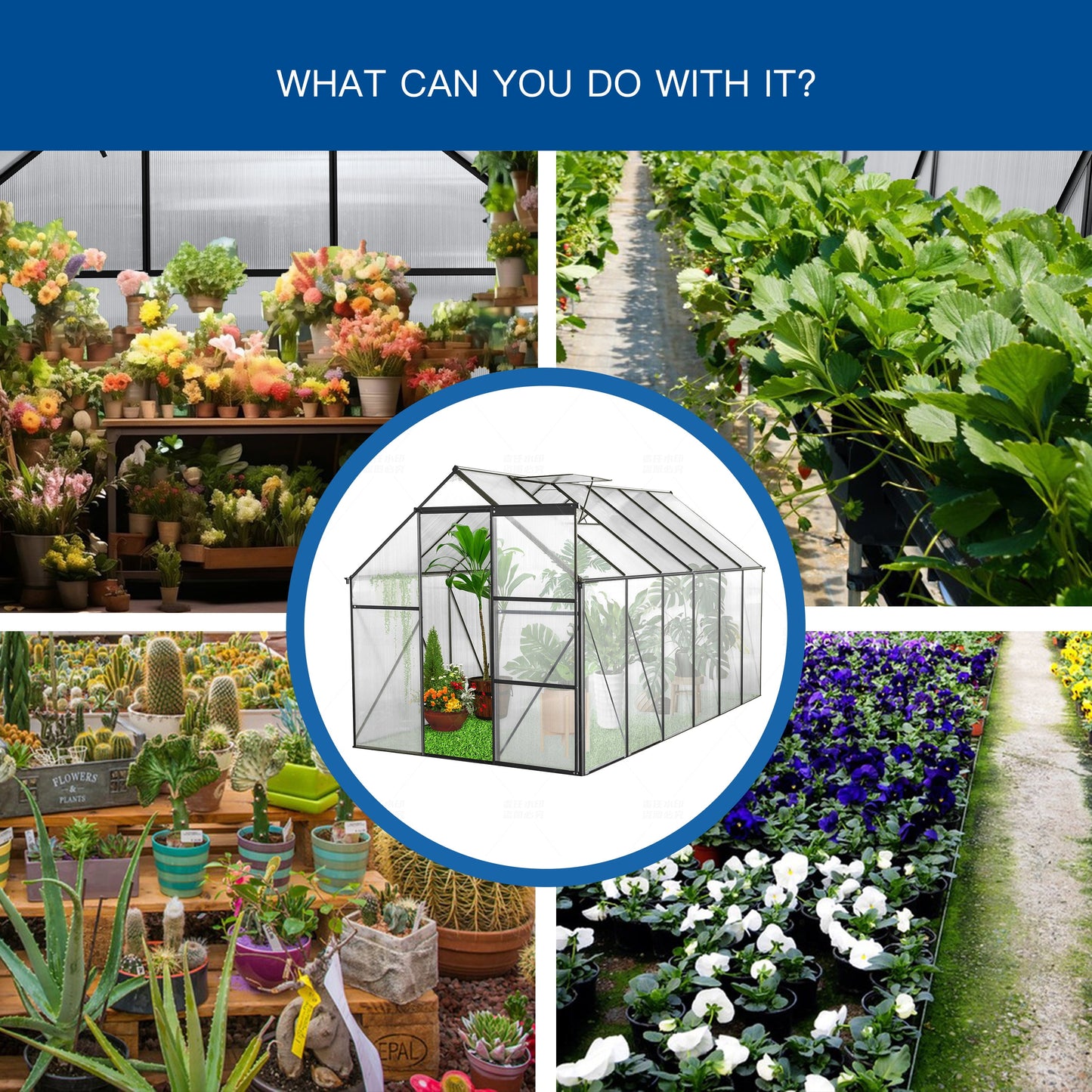 Walk in Greenhouse, Garden Greenhouse for Outdoors, Upgraded Polycarbonate Plant Greenhouse with Sliding Door, Adjustable Roof Vent, 6X12Ft, TE3067