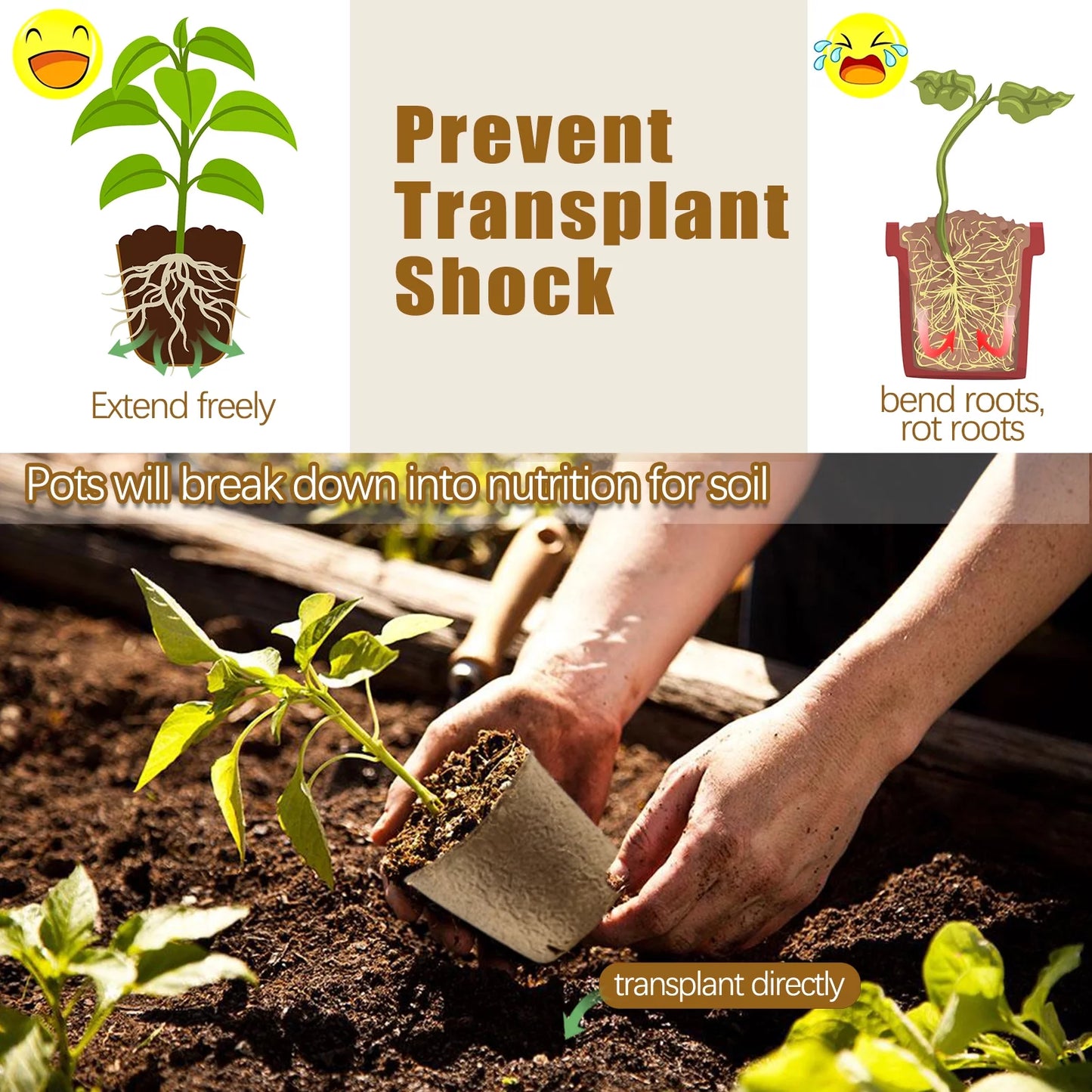 40 Pack Peat Pots for Seedlings, 3.15 Inch Biodegradable Seed Starter Planting Pots for Seedlings
