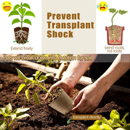 40 Pack Peat Pots for Seedlings, 3.15 Inch Biodegradable Seed Starter Planting Pots for Seedlings