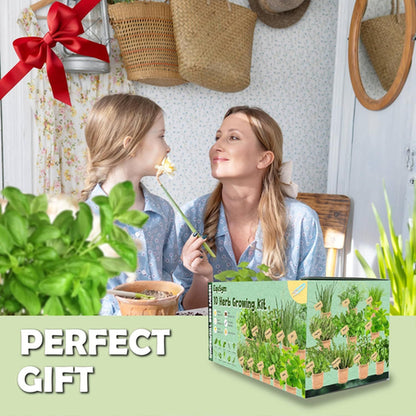 10 Herb Window Garden Kit Indoor - Seeds for & 10 Herb Kit