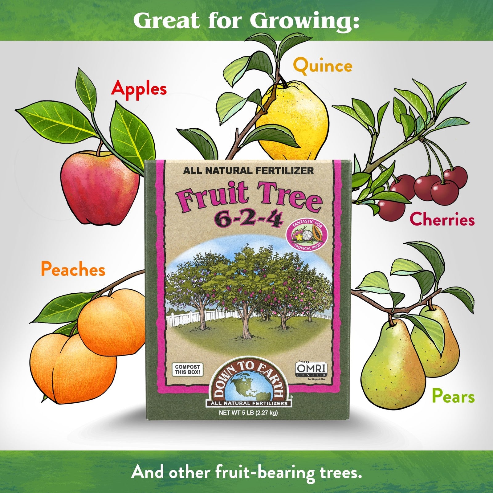 Down to Earth Organic Fruit Tree 6-2-4 All-Natural Fertilizer Mix, 5Lbs