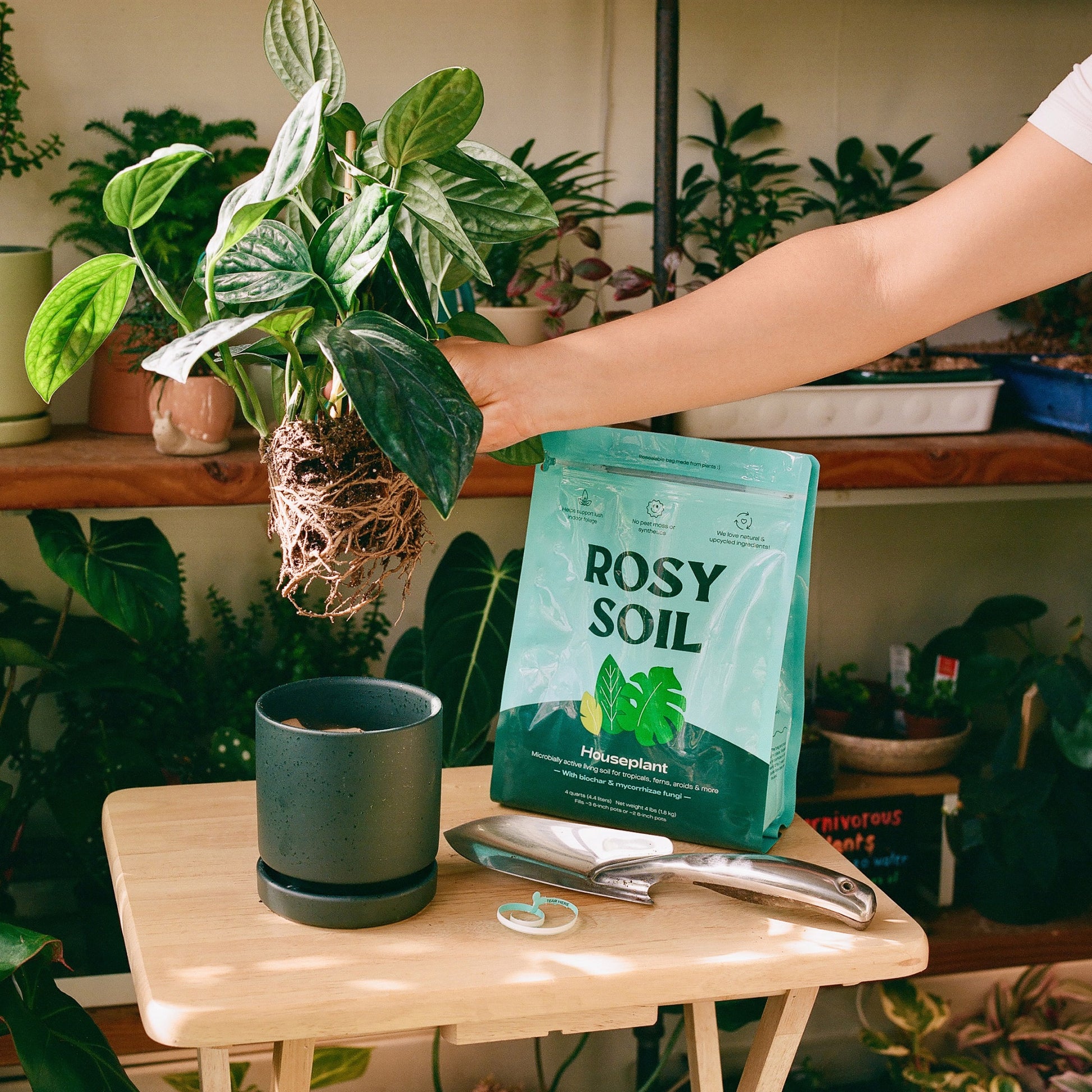 Houseplant Soil – 4 Quart 3-Pack