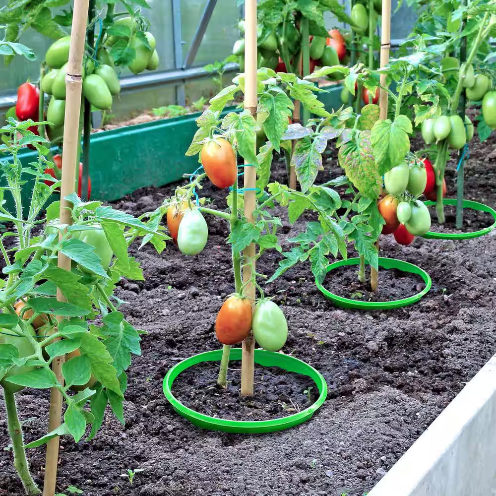6-Piece 10 In. Planting Grow Rings for Garden Protection and Watering