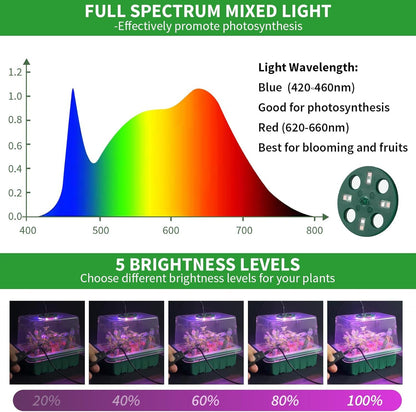 Seed Starter Tray with Plant Light, 4 Pack Grow Lights for Seed Starting Kit Wit