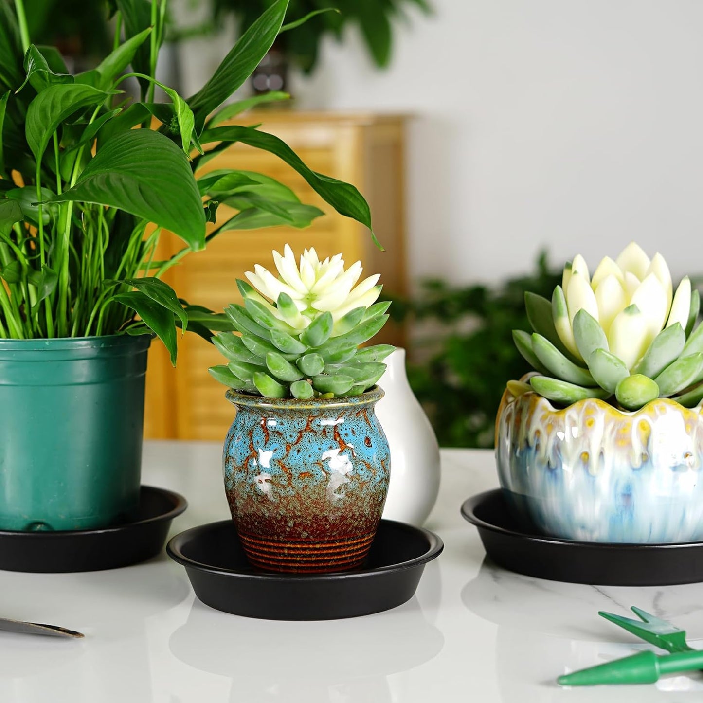 Plant Saucer 6 Inch of 3 Pack Black Heavy Duty Sturdy Plastic Plant Drainage Trays Planter Pot Drip Trays for Indoor Outdoor