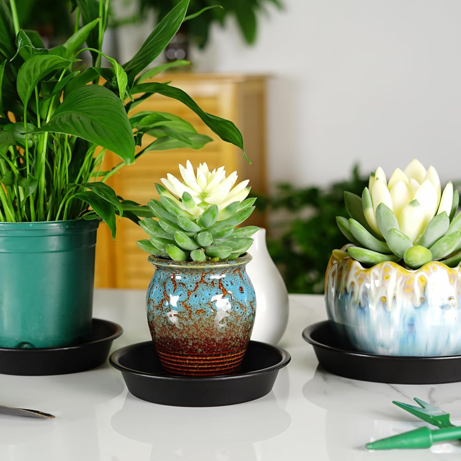 Plant Saucer 6 Inch of 3 Pack Black Heavy Duty Sturdy Plastic Plant Drainage Trays Planter Pot Drip Trays for Indoor Outdoor
