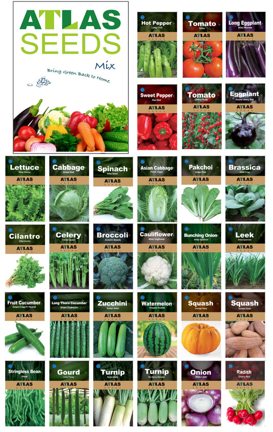 Atlas Vegetable Seeds Survival Garden Kit - over 30,000 Seeds, 29 Varieties