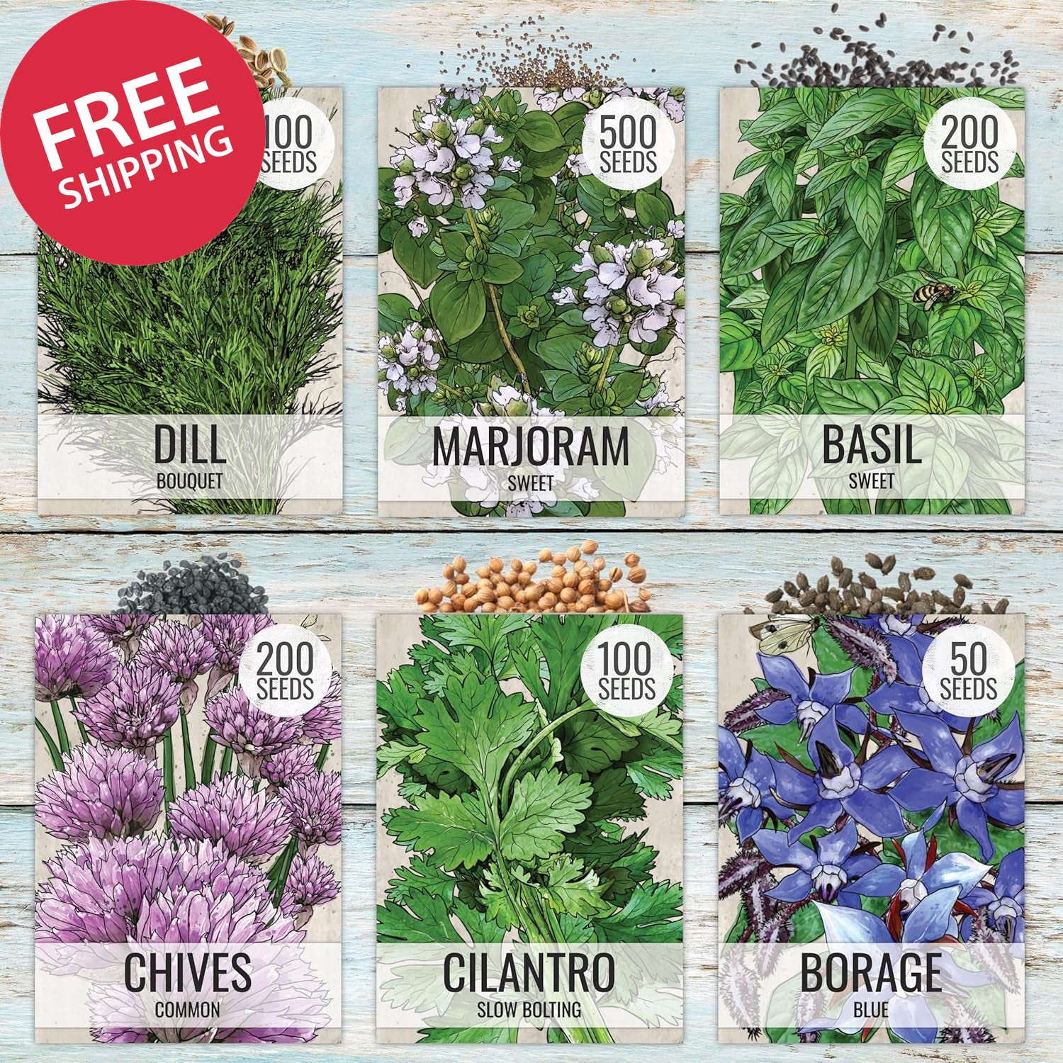 Herb Seeds Variety Pack Culinary Herb Collection (12 Individual Packets for Plan