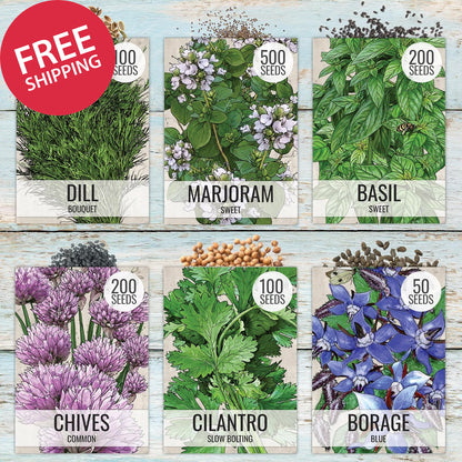 Herb Seeds Variety Pack Culinary Herb Collection (12 Individual Packets for Plan