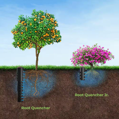 6 In. Deep Root Watering System (2-Pack)