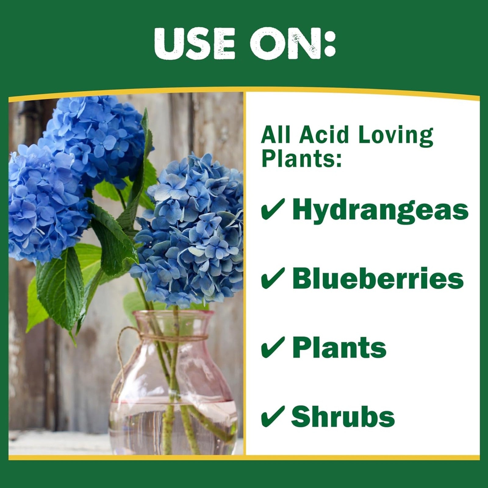 Espoma Organic Soil Acidifier – Lowers Soil Ph and Turns Hydrangeas Blue, 30Lbs