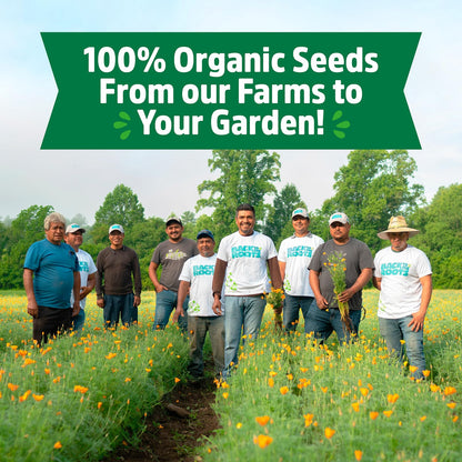 Organic Heirloom Vegetable and Herb Seed Bundle 30 Pack Non GMO Plant Seeds